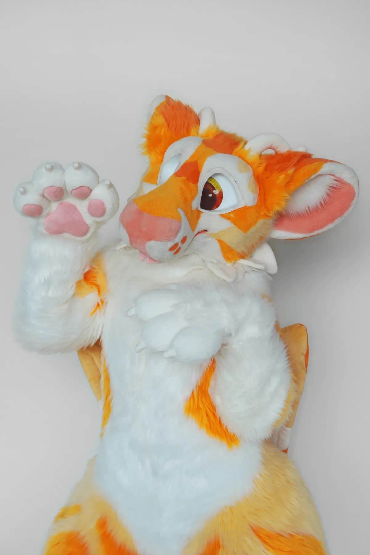 Gochu, a custom fursuit by Chilli Tiger Creations, photo 10 of 20