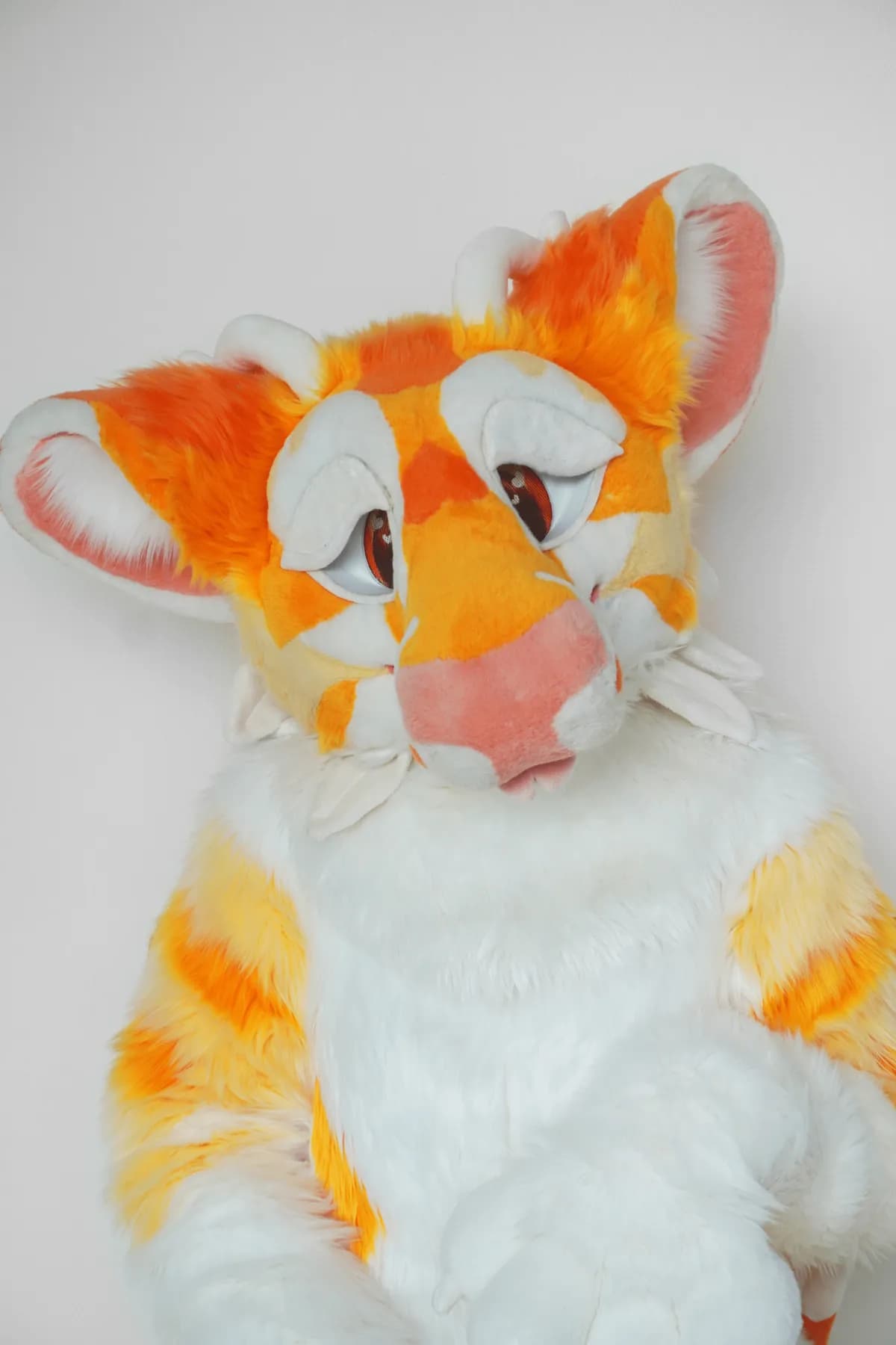 Gochu, a custom fursuit by Chilli Tiger Creations, photo 16 of 20
