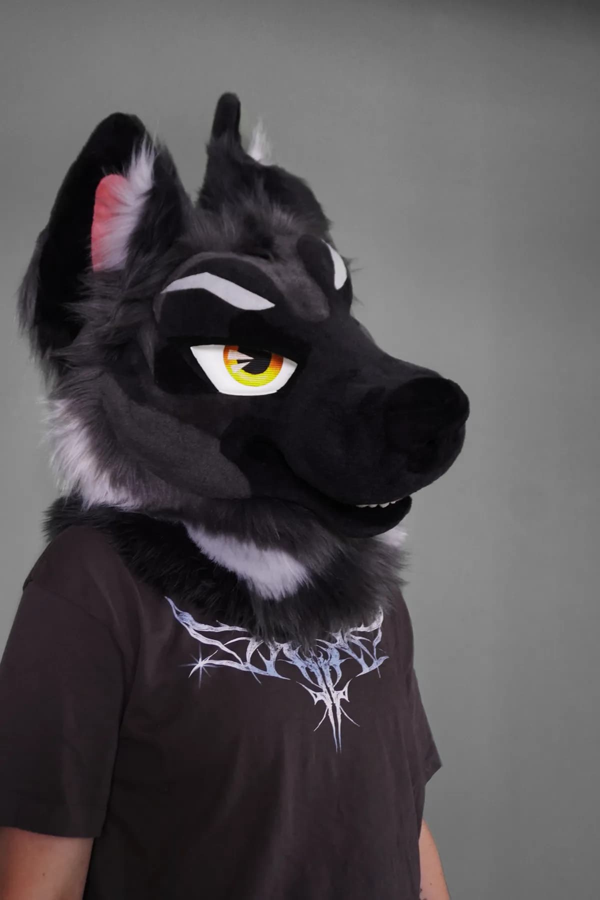 Kuro, a custom fursuit by Chilli Tiger Creations, photo 2 of 15