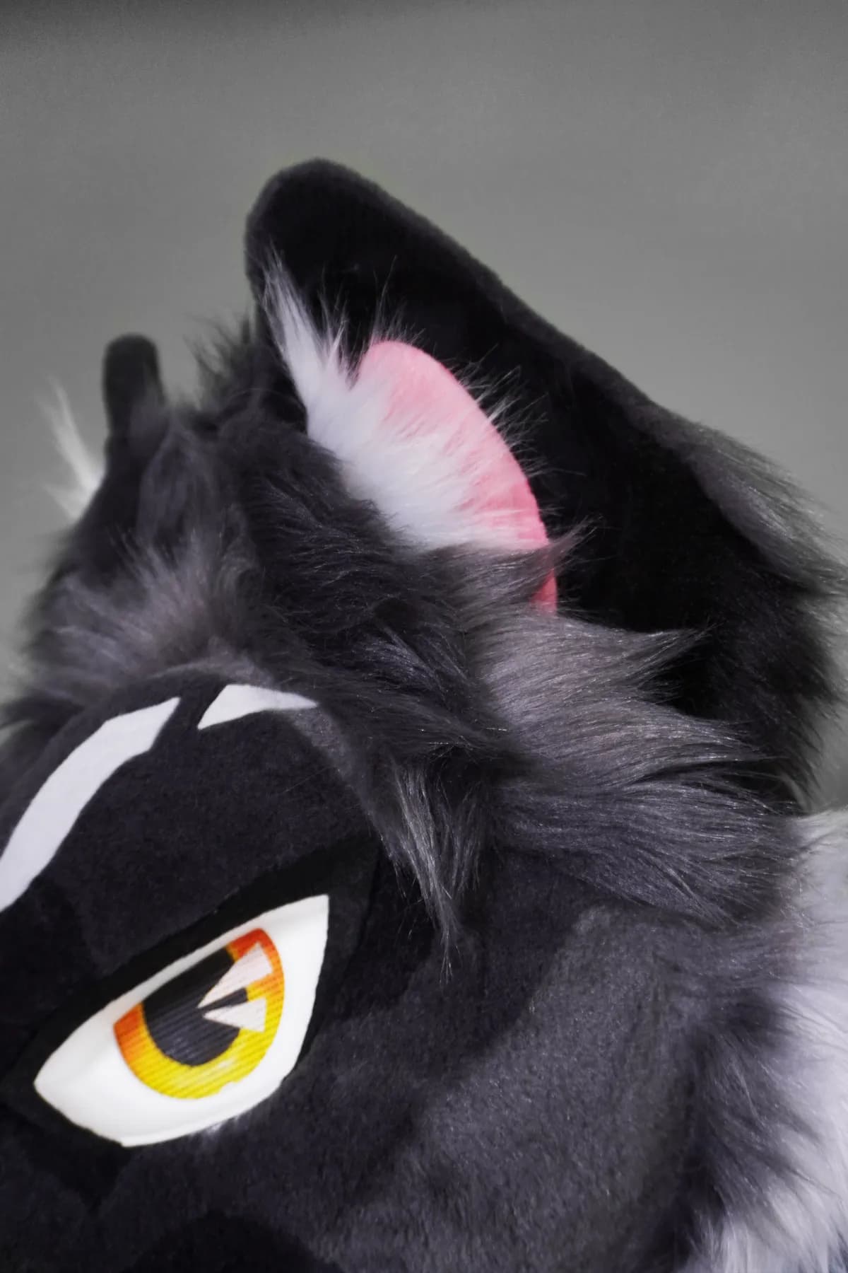 Kuro, a custom fursuit by Chilli Tiger Creations, photo 5 of 15
