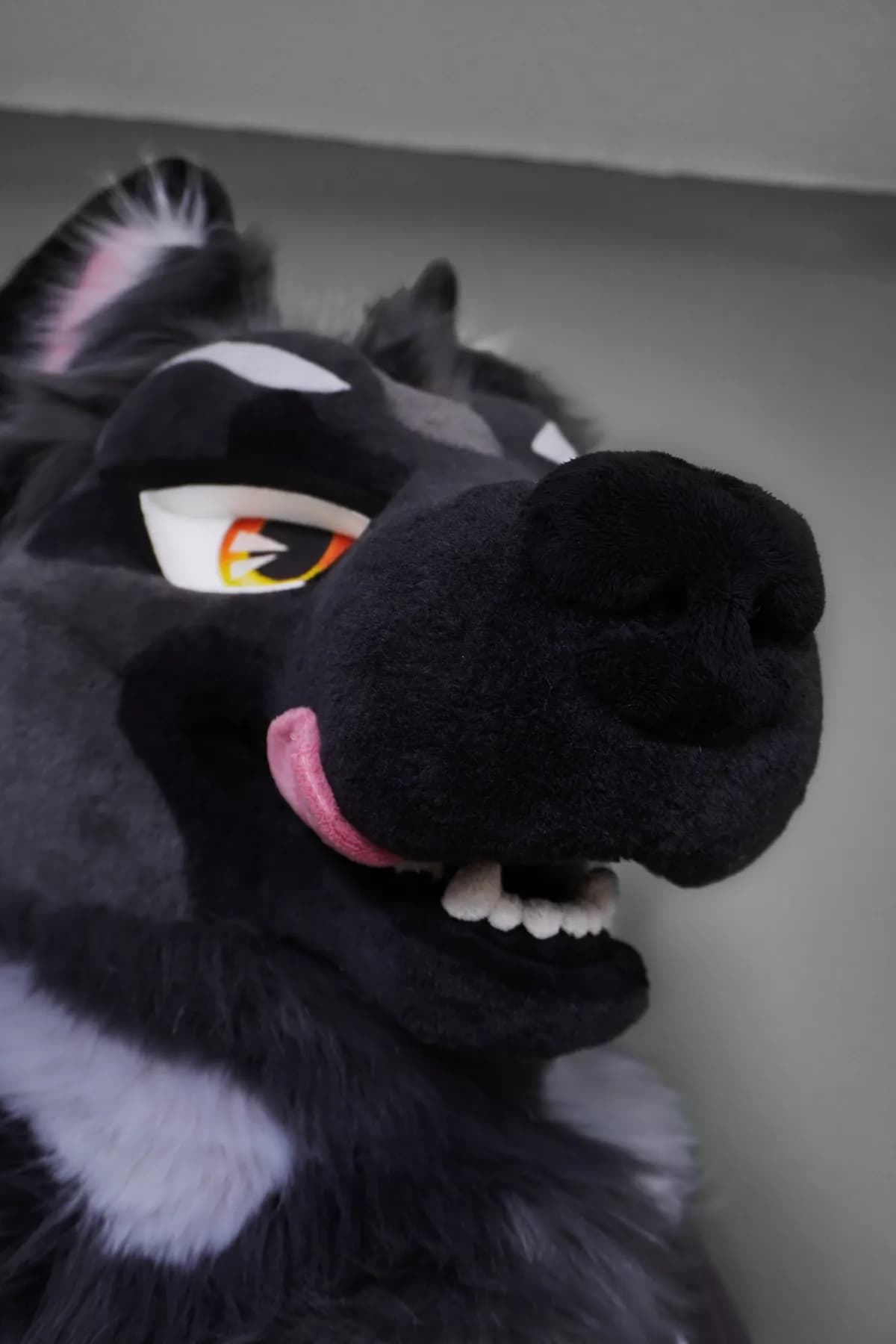 Kuro, a custom fursuit by Chilli Tiger Creations, photo 7 of 15
