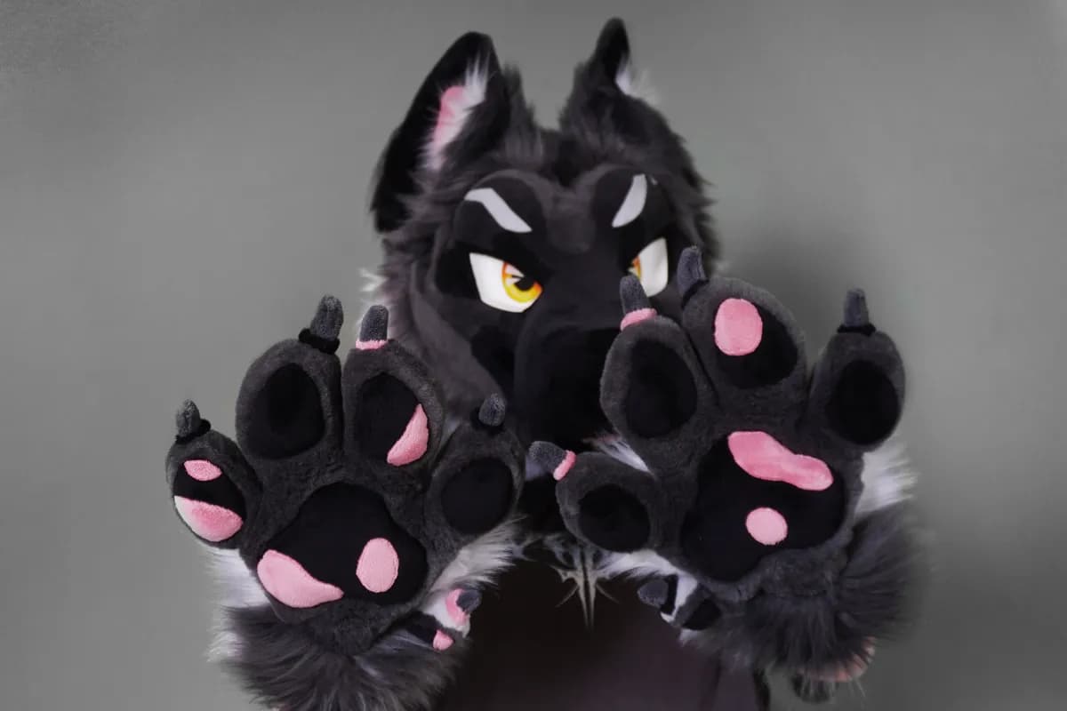 Kuro, a custom fursuit by Chilli Tiger Creations, photo 11 of 15