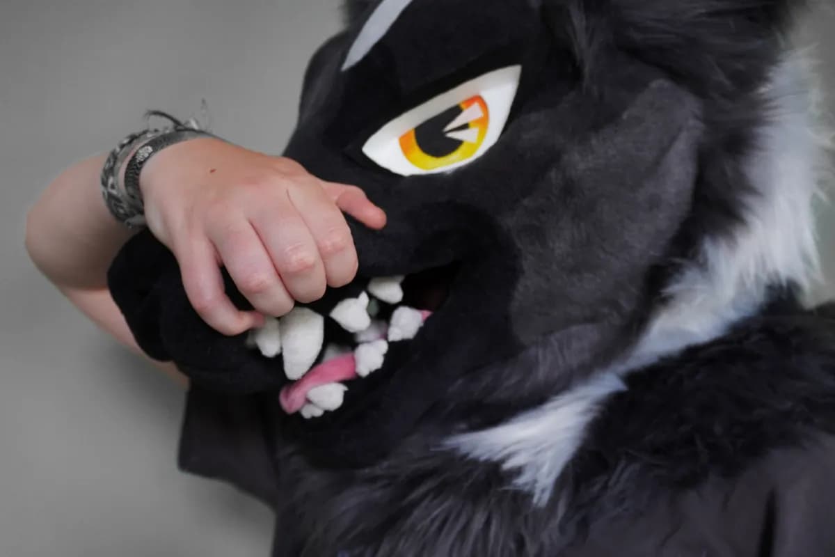Kuro, a custom fursuit by Chilli Tiger Creations, photo 12 of 15