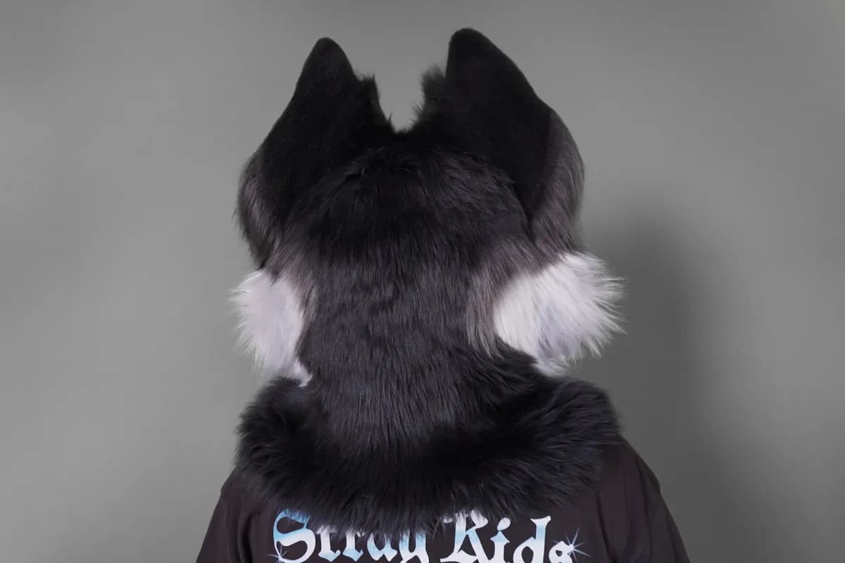 Kuro, a custom fursuit by Chilli Tiger Creations, photo 14 of 15