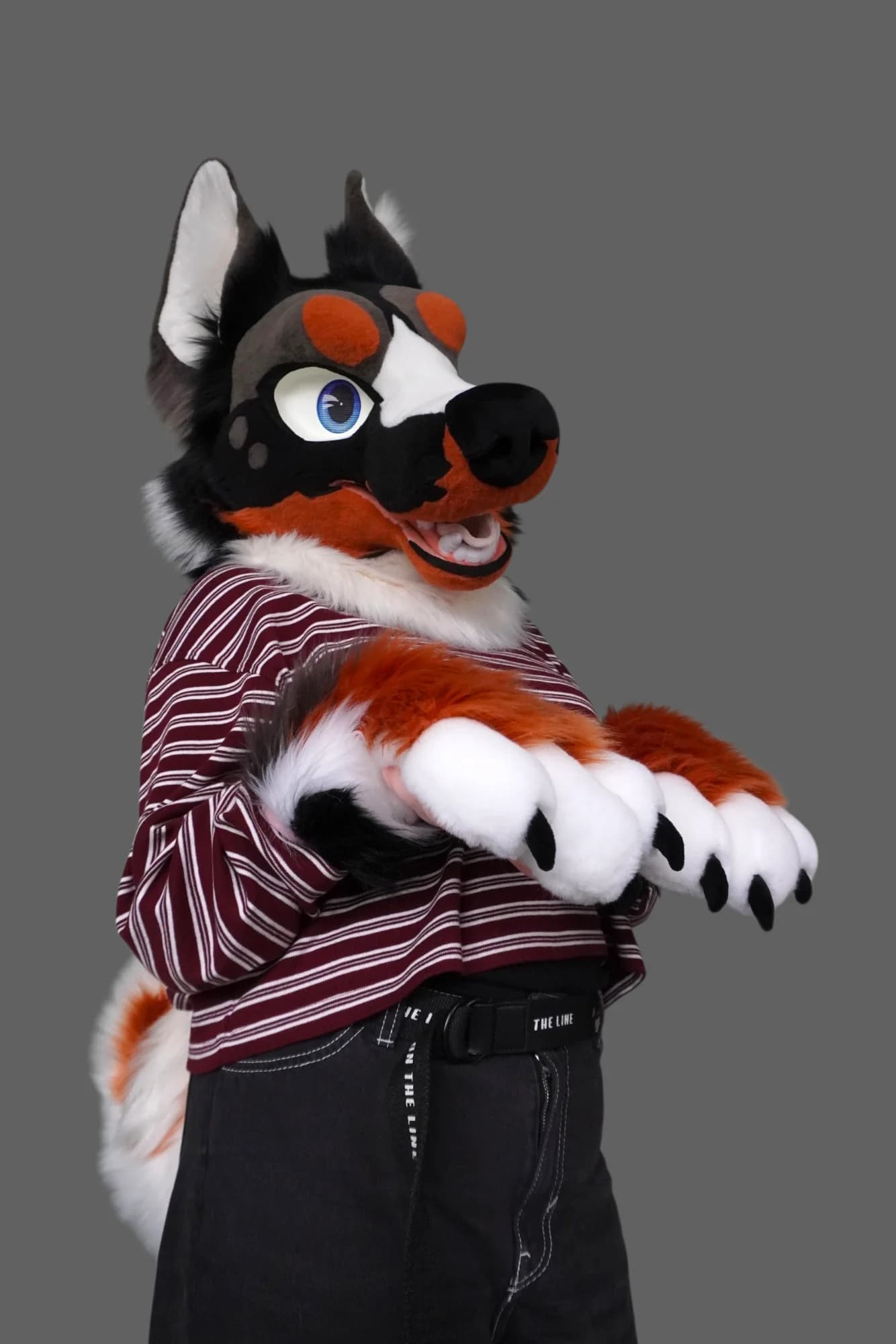 Drousy, a custom fursuit by Chilli Tiger Creations, photo 1 of 13