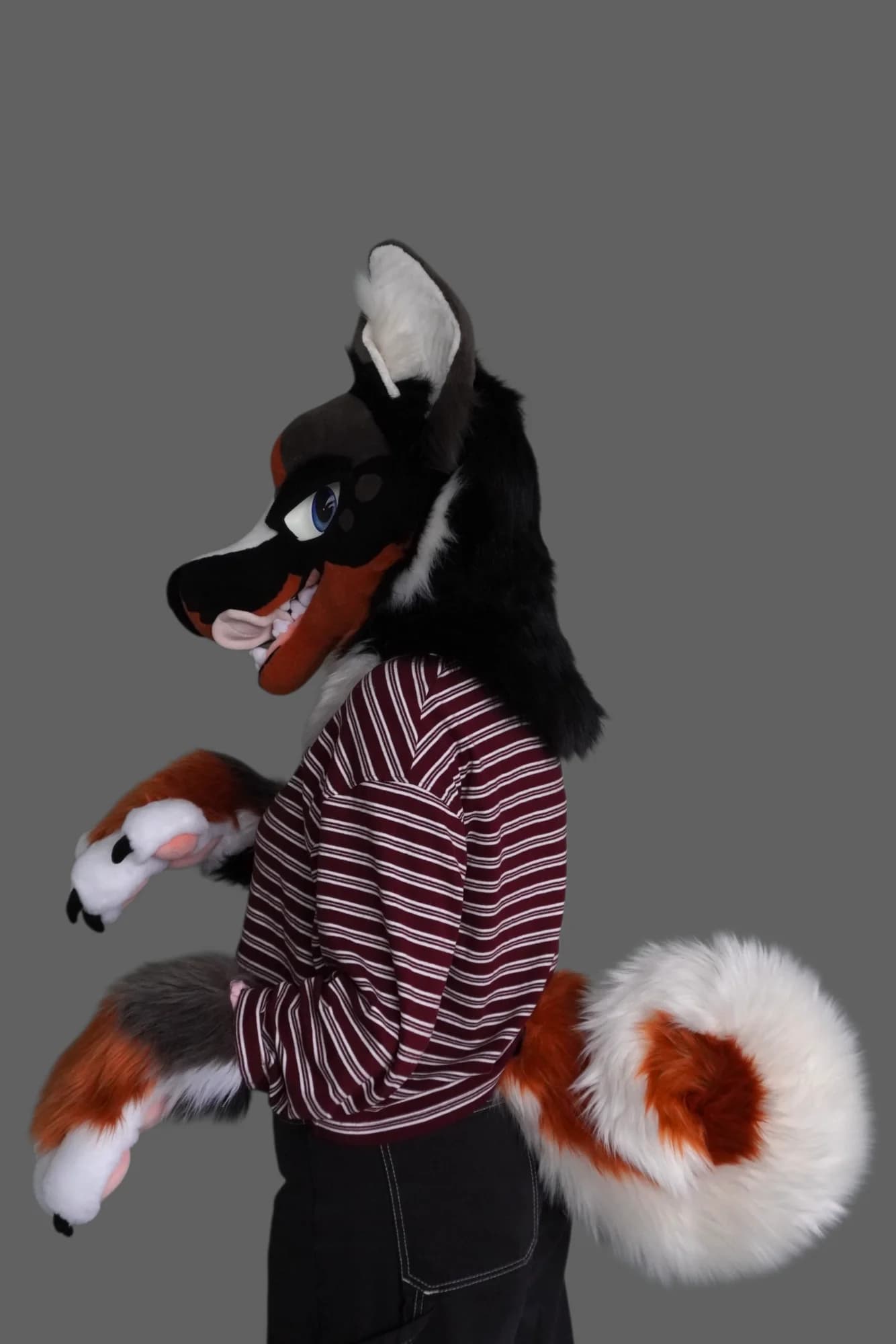 Drousy, a custom fursuit by Chilli Tiger Creations, photo 2 of 13