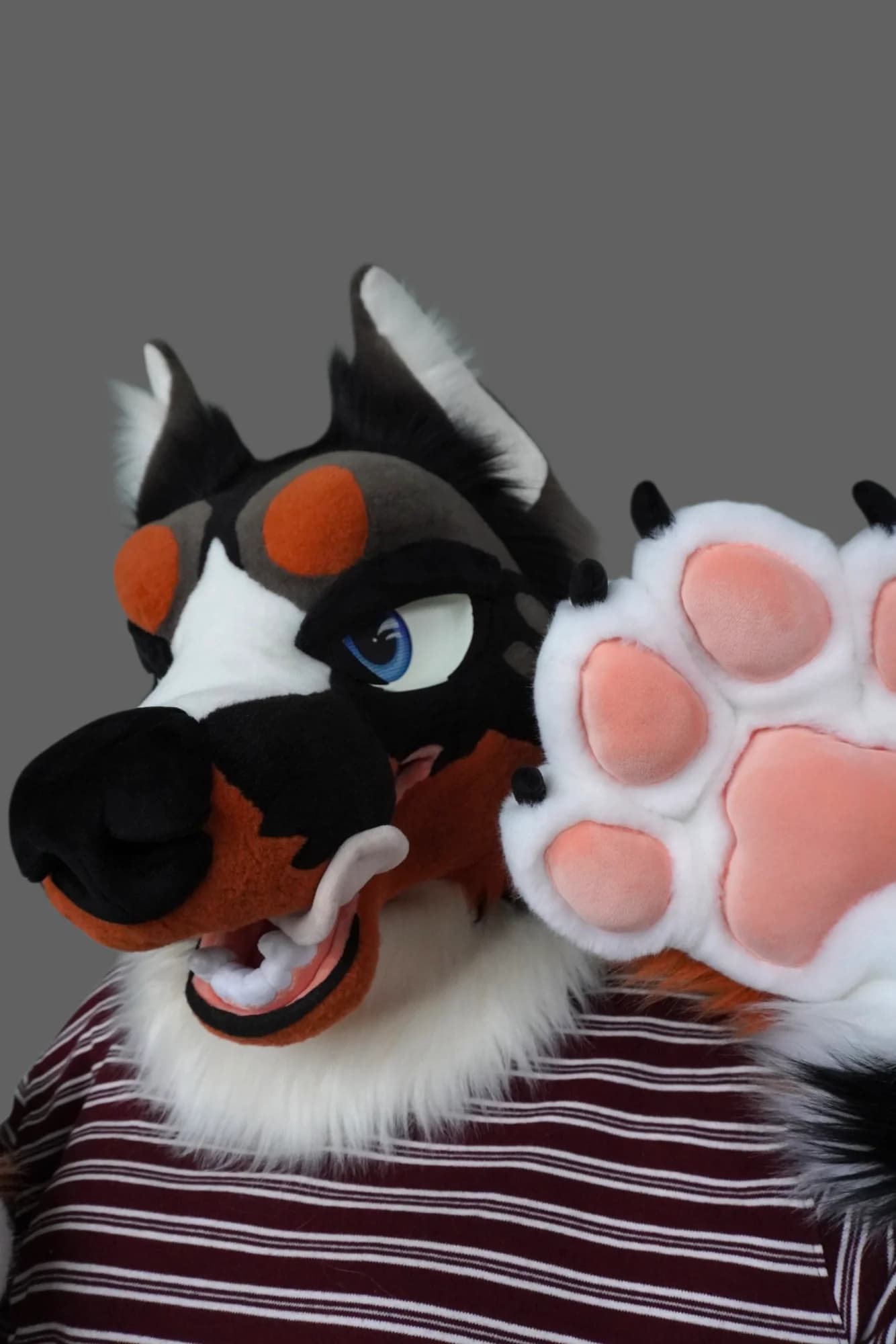 Drousy, a custom fursuit by Chilli Tiger Creations, photo 10 of 13