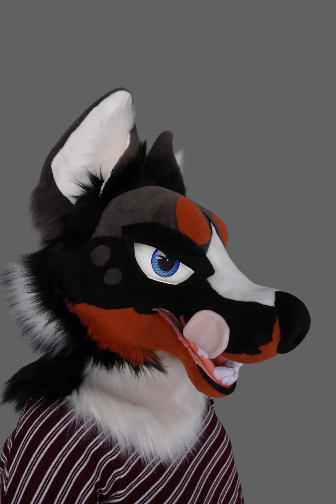 Drousy, a custom fursuit by Chilli Tiger Creations, photo 5 of 13