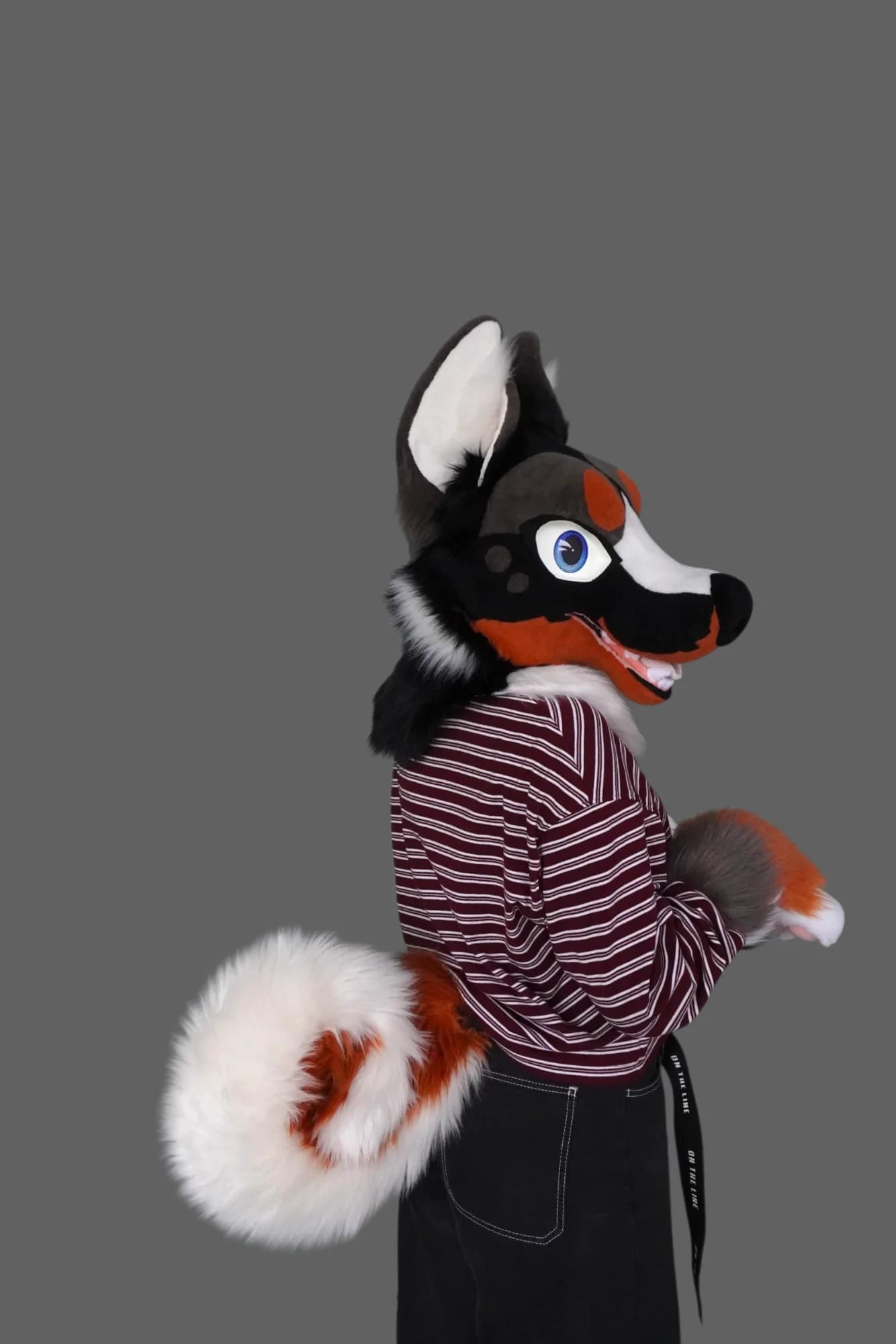 Drousy, a custom fursuit by Chilli Tiger Creations, photo 6 of 13