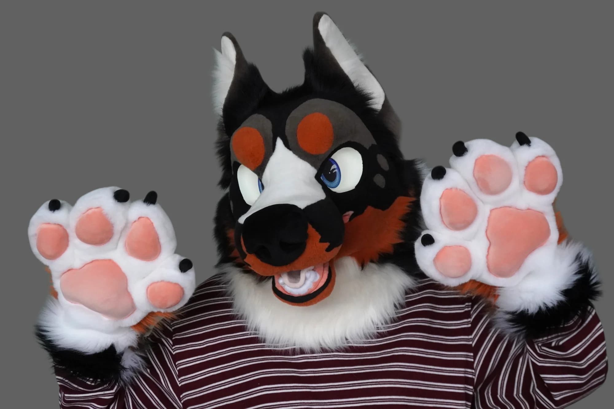 Drousy, a custom fursuit by Chilli Tiger Creations, photo 4 of 13