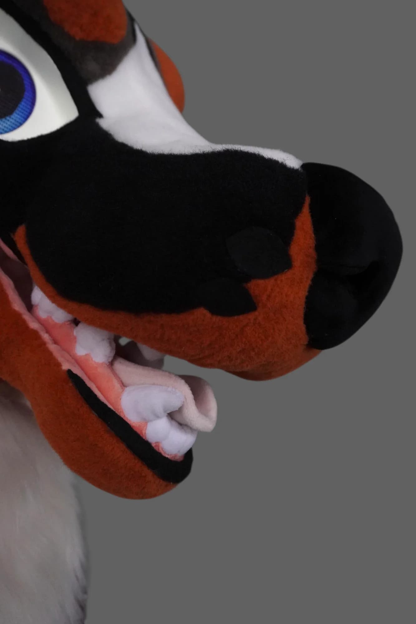 Drousy, a custom fursuit by Chilli Tiger Creations, photo 11 of 13