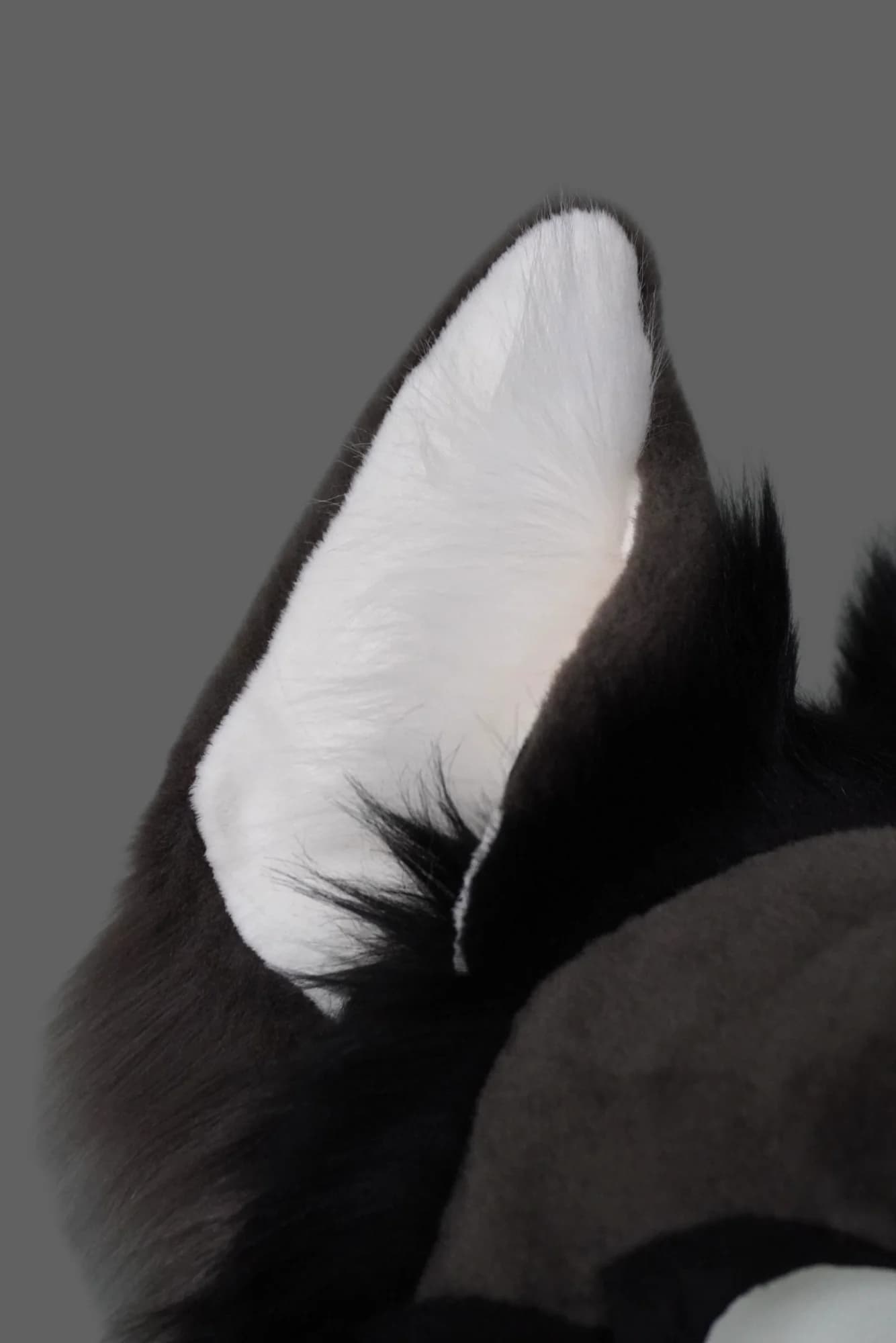 Drousy, a custom fursuit by Chilli Tiger Creations, photo 13 of 13