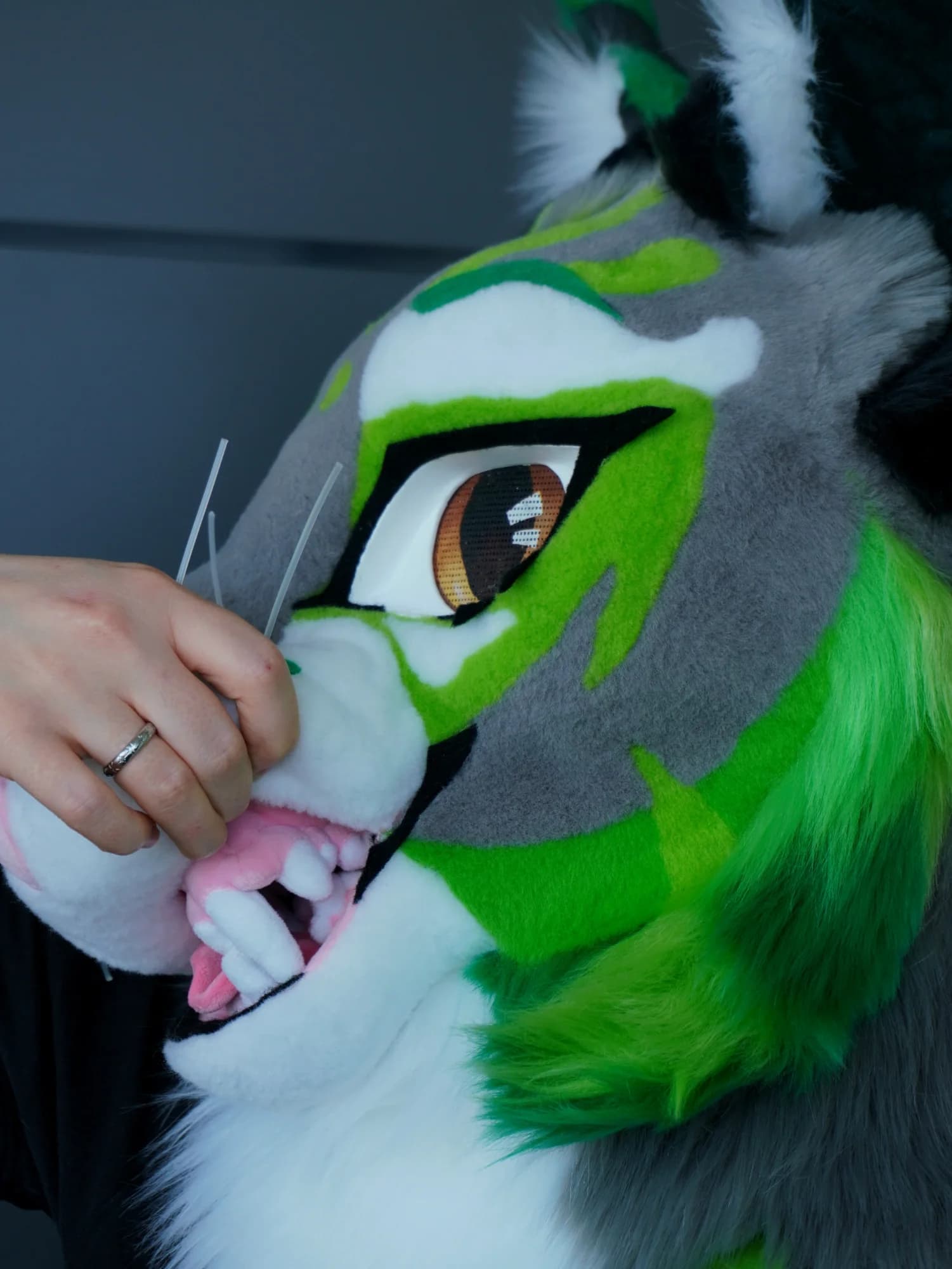 Beleth, a custom fursuit by Chilli Tiger Creations, photo 5 of 13